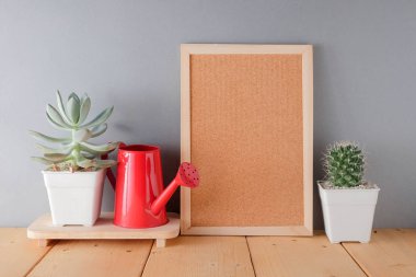succulents ya da kaktüs raf ve sahte çerçevelemek fotoğraf kadar beyaz arka plan üzerinde beton tencere