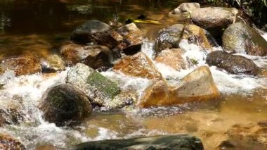 Ağır çekim tropikal orman ile dağlarda şelale acele. Güzel doğa arka plan. 