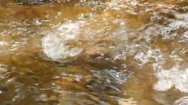 Ağır çekim tropikal orman ile dağlarda şelale acele. Güzel doğa arka plan. 