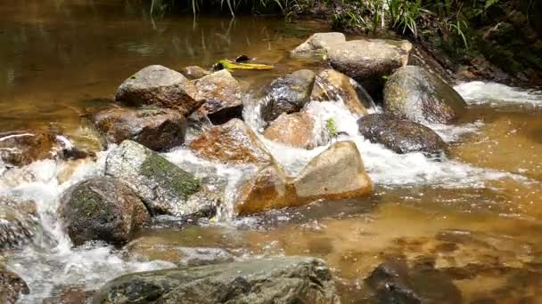 Cascada en cámara lenta corriendo en las montañas con bosque tropical. Hermosa naturaleza fondo . — Vídeos de Stock