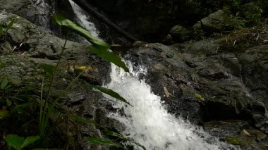 Ağır çekim tropikal orman ile dağlarda şelale acele. Güzel doğa arka plan. 
