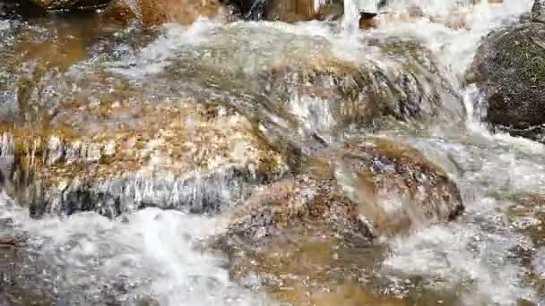 Cascada en cámara lenta corriendo en las montañas con bosque tropical. Hermosa naturaleza fondo . — Vídeos de Stock