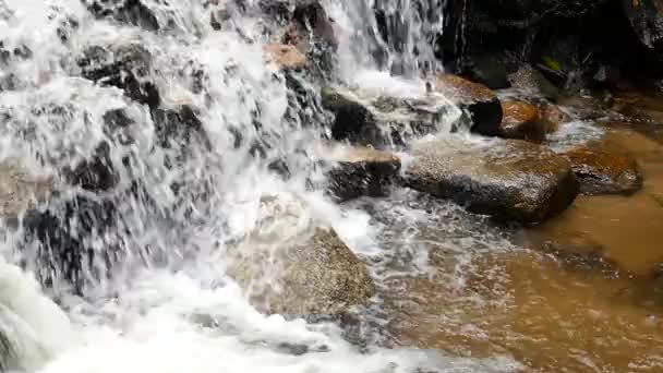 Cascada en cámara lenta corriendo en las montañas con bosque tropical. Hermosa naturaleza fondo . — Vídeos de Stock