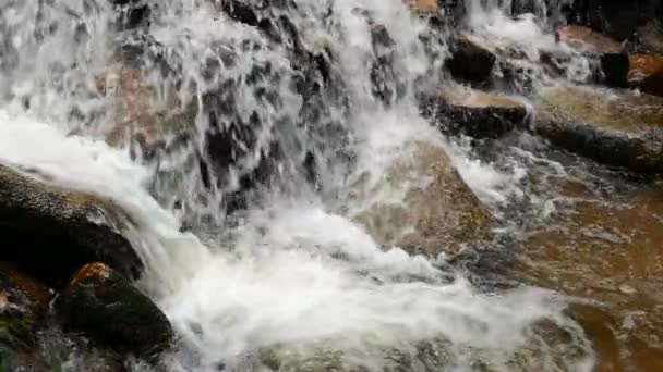 Powolny ruch rwący wodospad w górach z lasów tropikalnych. Tle pięknej przyrody. — Wideo stockowe