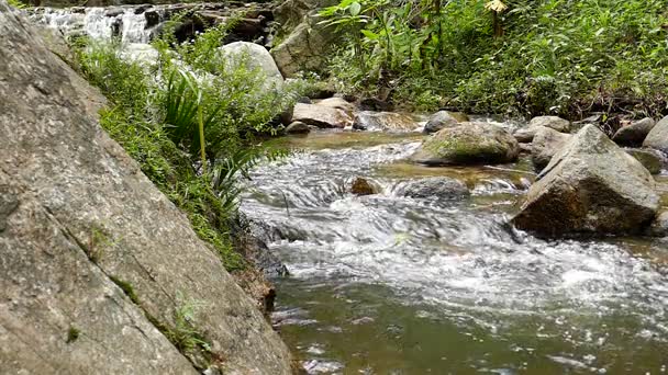 Cascada en cámara lenta corriendo en las montañas con bosque tropical. Hermosa naturaleza fondo . — Vídeos de Stock