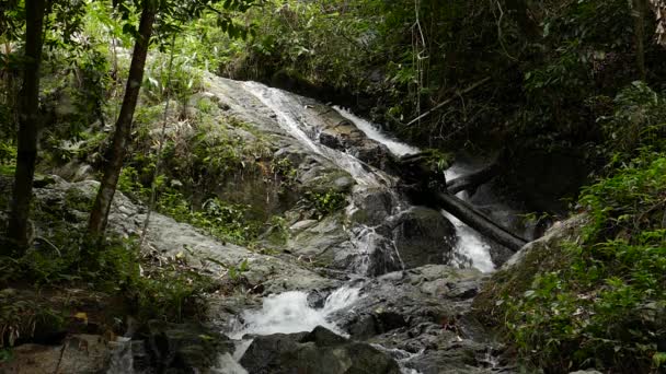 Zeitlupe rauschender Wasserfall in den Bergen mit tropischem Wald. schöne Natur Hintergrund. — Stockvideo