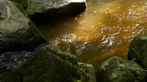 Slow motion rushing waterfall in the mountains with tropical forest. Beautiful nature background. — Stock Video