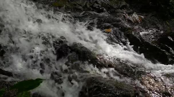 Cascada en cámara lenta corriendo en las montañas con bosque tropical. Hermosa naturaleza fondo . — Vídeo de stock