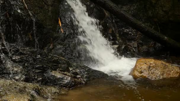 スローモーションは、熱帯林、山地の滝を急いでいます。美しい自然の背景. — ストック動画