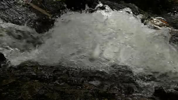 Rallentatore precipitoso cascata in montagna con foresta tropicale. Bellissimo sfondo naturale . — Video Stock
