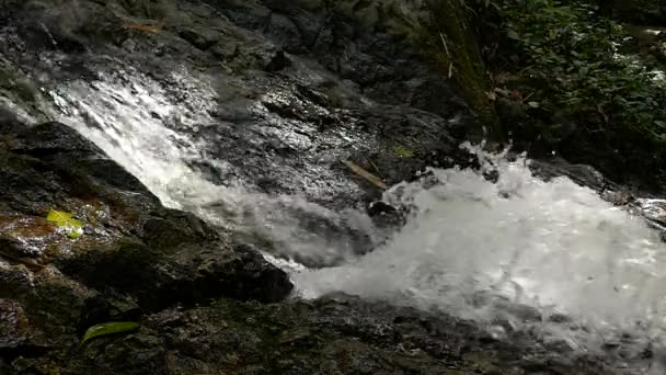 スローモーションは、熱帯林、山地の滝を急いでいます。美しい自然の背景. — ストック動画