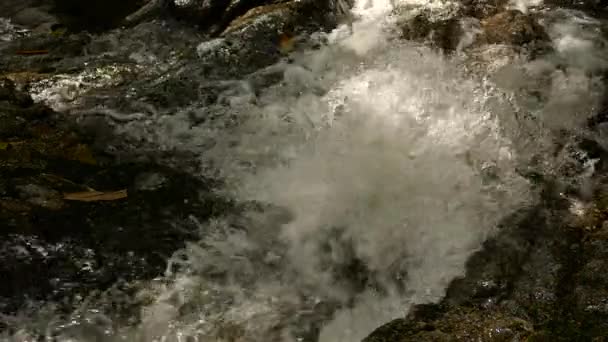 Slow motion rusar vattenfall i bergen med tropisk skog. Vacker natur bakgrund. — Stockvideo