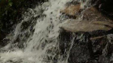 Ağır çekim tropikal orman ile dağlarda şelale acele. Güzel doğa arka plan. 