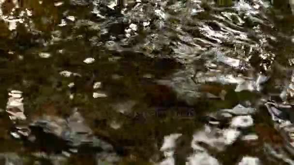 Mouvement lent se précipitant cascade dans les montagnes avec forêt tropicale. Beau fond nature . — Video