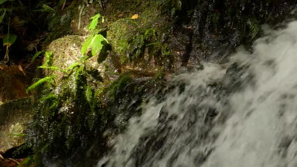 Slow motion haasten waterval in de bergen met regenwoud. Achtergrond van de prachtige natuur. — Stockvideo