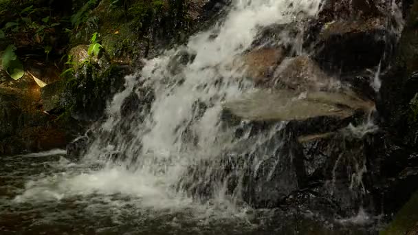 Медленное движение стремительного водопада в горах с тропическим лесом. Красивый фон природы . — стоковое видео