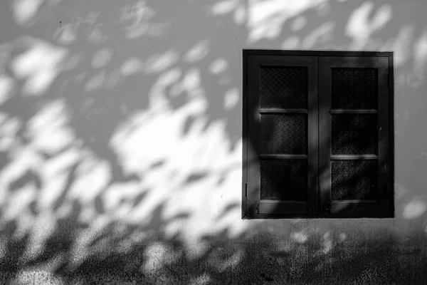白いコンクリートの壁に葉の背景の影 — ストック写真