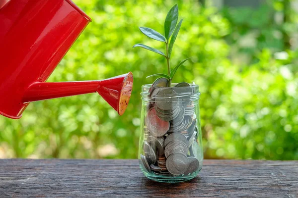 Money growth concept plant growing out of coins