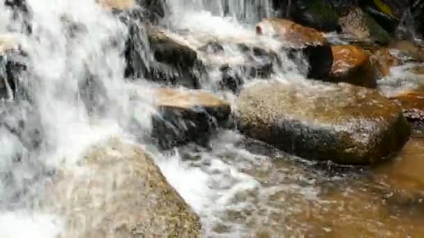 Haasten waterval in de bergen met regenwoud. Achtergrond van de prachtige natuur. — Stockvideo