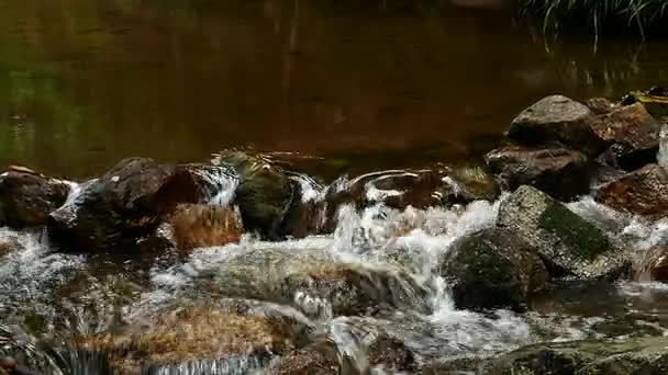Rauschender Wasserfall in den Bergen mit tropischem Wald. schöne Natur Hintergrund. — Stockvideo