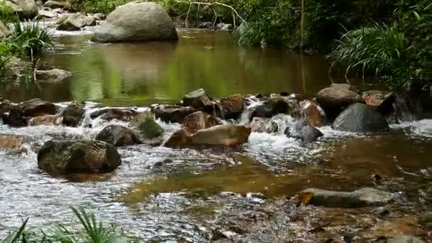 Řítí vodopád v pohoří s tropickým lesem. Krásné přírodní pozadí. — Stock video
