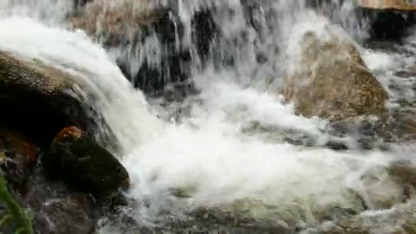 Cascade précipitée dans les montagnes avec forêt tropicale. Beau fond nature . — Video