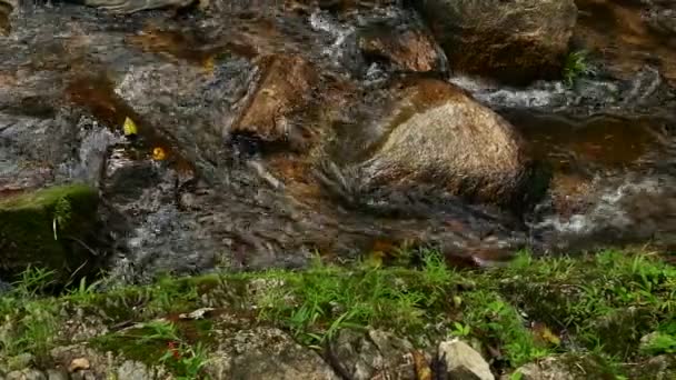 cascade précipitée dans les montagnes avec forêt tropicale. Beau fond nature .