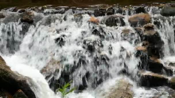 Řítí vodopád v pohoří s tropickým lesem. Krásné přírodní pozadí. — Stock video