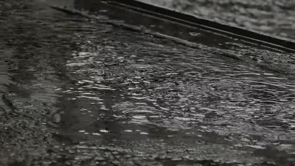 Las fuertes lluvias golpearon el agua en la temporada de lluvias . — Vídeo de stock