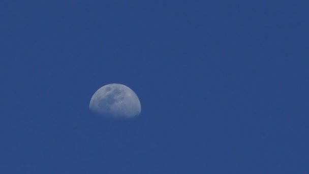 Half moon flowing fast before Supermoon — Stock Video