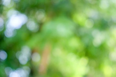 doğa soyut bokeh arka plan