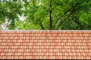 arka plan doku Tay tapınak çatı detay