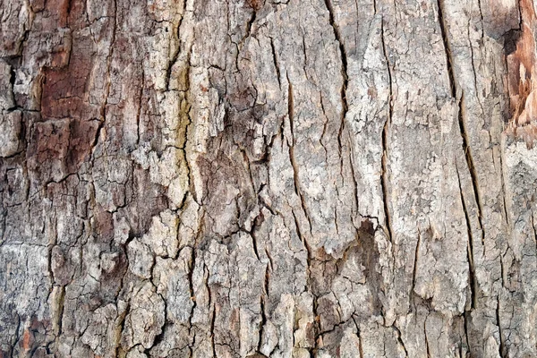 Textura de madera abstracta fondo —  Fotos de Stock