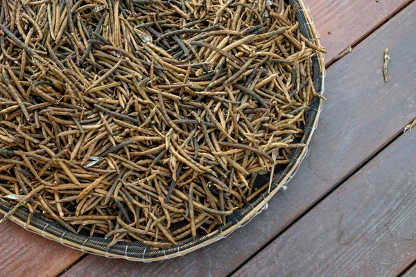 Dried pod beans for planting — Stock Photo, Image
