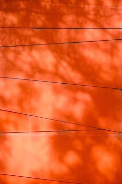 Beton bir duvardaki gölge yaprağının soyut arkaplan dokuyucusu.