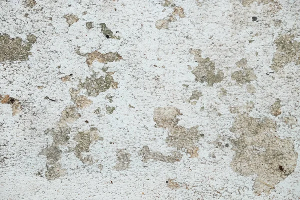 Branco abstrato fundo textura parede de concreto — Fotografia de Stock