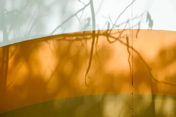 Textuador de fondo abstracto de la hoja de sombras en una pared de hormigón . —  Fotos de Stock