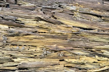 soyut ahşap doku arkaplanı