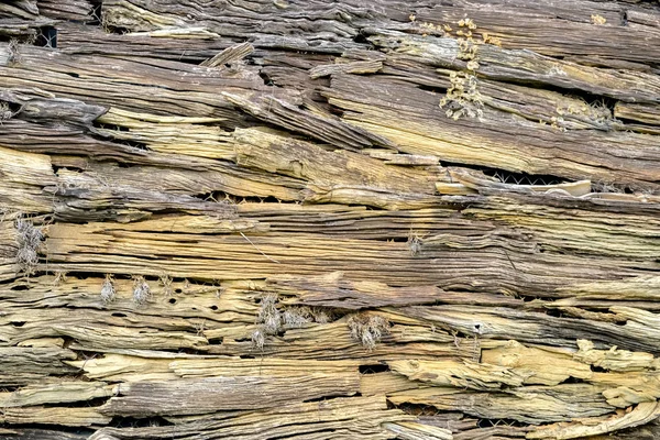 soyut ahşap doku arkaplanı