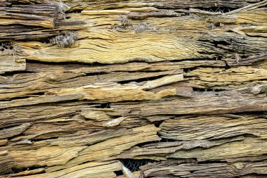 soyut ahşap doku arkaplanı