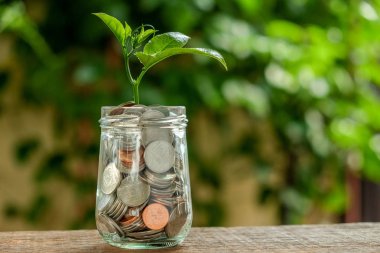 yatırım kavramı için para kazanmak. paralar dışarı büyüyen bitki