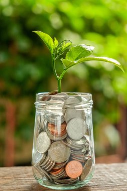 yatırım kavramı için para kazanmak. paralar dışarı büyüyen bitki