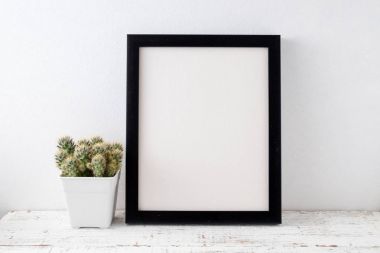 succulents ya da kaktüs raf ve sahte çerçevelemek fotoğraf kadar beyaz arka plan üzerinde beton tencere