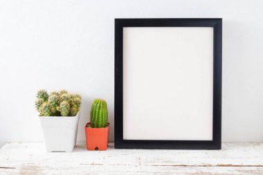 succulents ya da kaktüs raf ve sahte çerçevelemek fotoğraf kadar beyaz arka plan üzerinde beton tencere