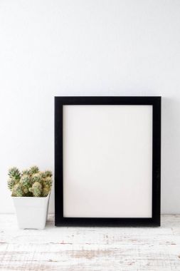 succulents ya da kaktüs raf ve sahte çerçevelemek fotoğraf kadar beyaz arka plan üzerinde beton tencere