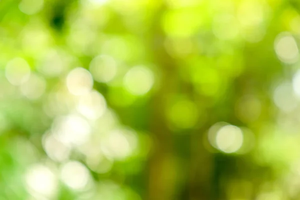 Abstrakt grön bokeh natur bakgrund — Stockfoto