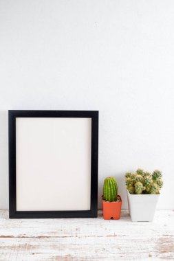 succulents ya da kaktüs raf ve sahte çerçevelemek fotoğraf kadar beyaz arka plan üzerinde beton tencere
