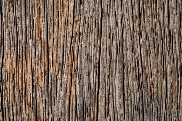 Абстрактний фон текстури деревини — стокове фото