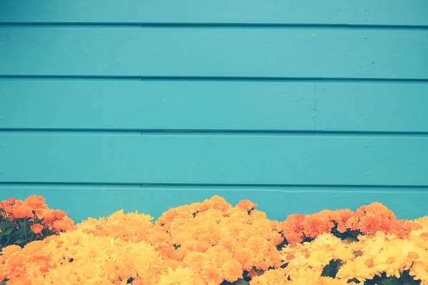 Bloem achtergrond. Geel oranje bloem in de tuin met filter effect retro vintage stijl — Stockfoto