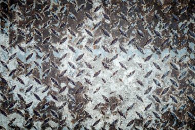 Paslı elmas çelik levha arka plan dokusu